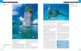 Dive The Ultimate Guide to the World's Top Dive Locations 2nd 2008 Revised  9781554074020 Front Cover
