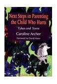 Next Steps in Parenting the Child Who Hurts Tykes and Teens 1999 9781853028021 Front Cover