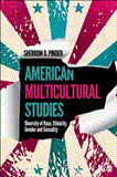American Multicultural Studies Diversity of Race, Ethnicity, Gender and Sexuality cover art