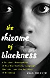 Rhizome of Blackness A Critical Ethnography of Hip-Hop Culture, Language, Identity, and the Politics of Becoming  9781433126024 Front Cover
