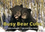 Busy Bear Cubs 2009 9781582463025 Front Cover