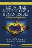 Molecular Morphology in Human Tissues Techniques and Applications  9780849317026 Front Cover