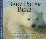 Baby Polar Bear 2008 9781554551026 Front Cover