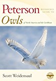 Peterson Reference Guide to Owls of North America and the Caribbean  9780547840031 Front Cover