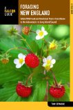 New England Edible Wild Food and Medicinal Plants from Maine to the Adirondacks to Long Island Sound 2nd 2013 9780762779031 Front Cover