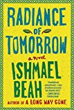 Radiance of Tomorrow A Novel  9780374535032 Front Cover