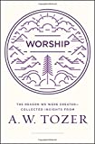 Worship: The Reason We Were Created - Collected Insights  9780802416032 Front Cover