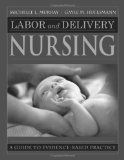 Labor and Delivery Nursing A Guide to Evidence-Based Practice cover art