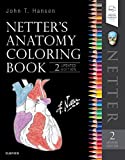 Netter's Anatomy Coloring Book Updated Edition  cover art