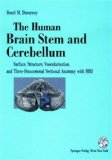 Human Brain Stem and Cerebellum Surface, Structure, Vascularization, Three Dimensional Sectional Anatomy, and MRI  9783211825037 Front Cover