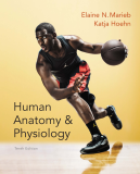 Human Anatomy & Physiology cover art