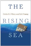 Rising Sea  cover art