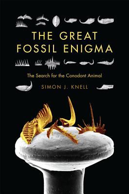 Great Fossil Enigma The Search for the Conodont Animal 2012 9780253006042 Front Cover