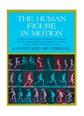 Human Figure in Motion 