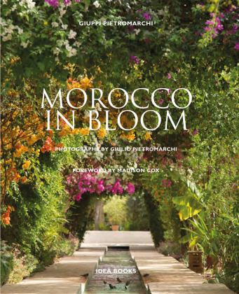 Morocco In Bloom  9781851499045 Front Cover