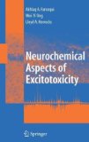 Neurochemical Aspects of Excitotoxicity 2010 9781441925046 Front Cover