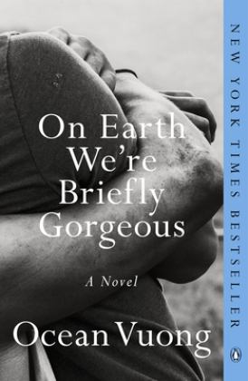 On Earth We're Briefly Gorgeous A Novel  9780525562047 Front Cover