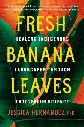 Fresh Banana Leaves Healing Indigenous Landscapes Through Indigenous Science  9781623176051 Front Cover