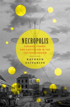 Necropolis Disease, Power, and Capitalism in the Cotton Kingdom  9780674241053 Front Cover