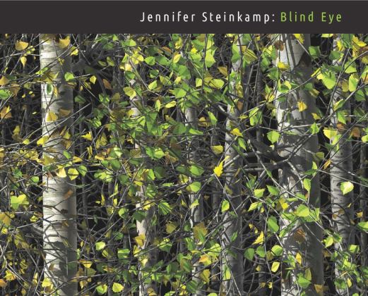 Jennifer Steinkamp Blind Eye  9780300237054 Front Cover