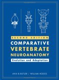 Comparative Vertebrate Neuroanatomy Evolution and Adaptation cover art