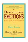 Destructive Emotions A Scientific Dialogue with the Dalai Lama cover art