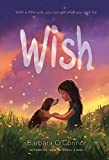 Wish  9781250144058 Front Cover