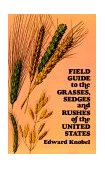 Field Guide to the Grasses, Sedges, and Rushes of the United States  cover art