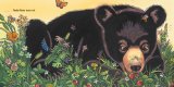 Baby Bear Sees Blue 2012 9781442413061 Front Cover