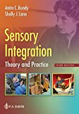Sensory Integration: Theory and Practice  9780803646063 Front Cover