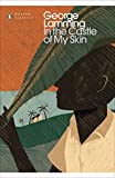In the Castle of My Skin  9780241296066 Front Cover