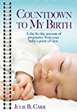Countdown to My Birth A Day-By-Day Account of Pregnancy from Your Baby's Point of View  9781476769066 Front Cover