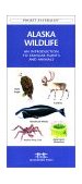 Florida Birds An Introduction to Familiar Species  9781583551066 Front Cover