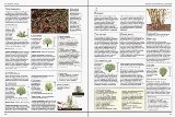 Pruning and Training  9780751302073 Front Cover