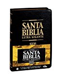 NVI Santa Biblia Letra Gigante 2002 9780829737073 Front Cover