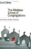 Hidden Lives of Congregations Discerning Church Dynamics