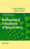 Mathematical Foundations of Neuroscience  cover art