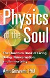 Physics of the Soul The Quantum Book of Living, Dying, Reincarnation, and Immortality  9781571747075 Front Cover