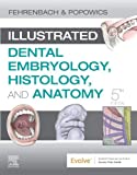 Illustrated Dental Embryology, Histology, and Anatomy 5th 9780323611077 Front Cover