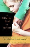 Different Kind of Perfect Writings by Parents on Raising a Child with Special Needs cover art