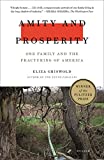 Amity and Prosperity One Family and the Fracturing of America  9781250215079 Front Cover