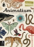 Animalium Welcome to the Museum 2014 9780763675080 Front Cover