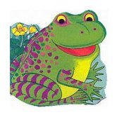 Pocket Frog  9780859539081 Front Cover