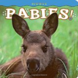Moose Babies 2011 9781560375081 Front Cover