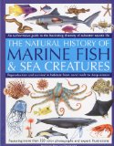 Natural History of Marine Fish and Sea Creatures An Authoritative Guide to the Fascinating Diversity of Saltwater Aquatic Life 2009 9781844767083 Front Cover