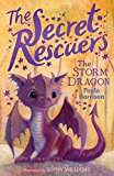 Storm Dragon  9781481476089 Front Cover