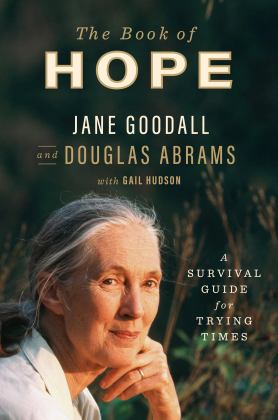 Book of Hope A Survival Guide for Trying Times  9781250784094 Front Cover