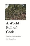 World Full of Gods An Inquiry into Polytheism cover art