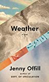 Weather A Novel  9780385351102 Front Cover