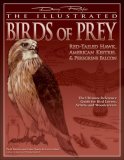 Illustrated Birds of Prey - Red-Tailed Hawk, American Kestrel and Peregrine Falcon The Ultimate Reference Guide for Bird Lovers, Woodcarvers, and Artists